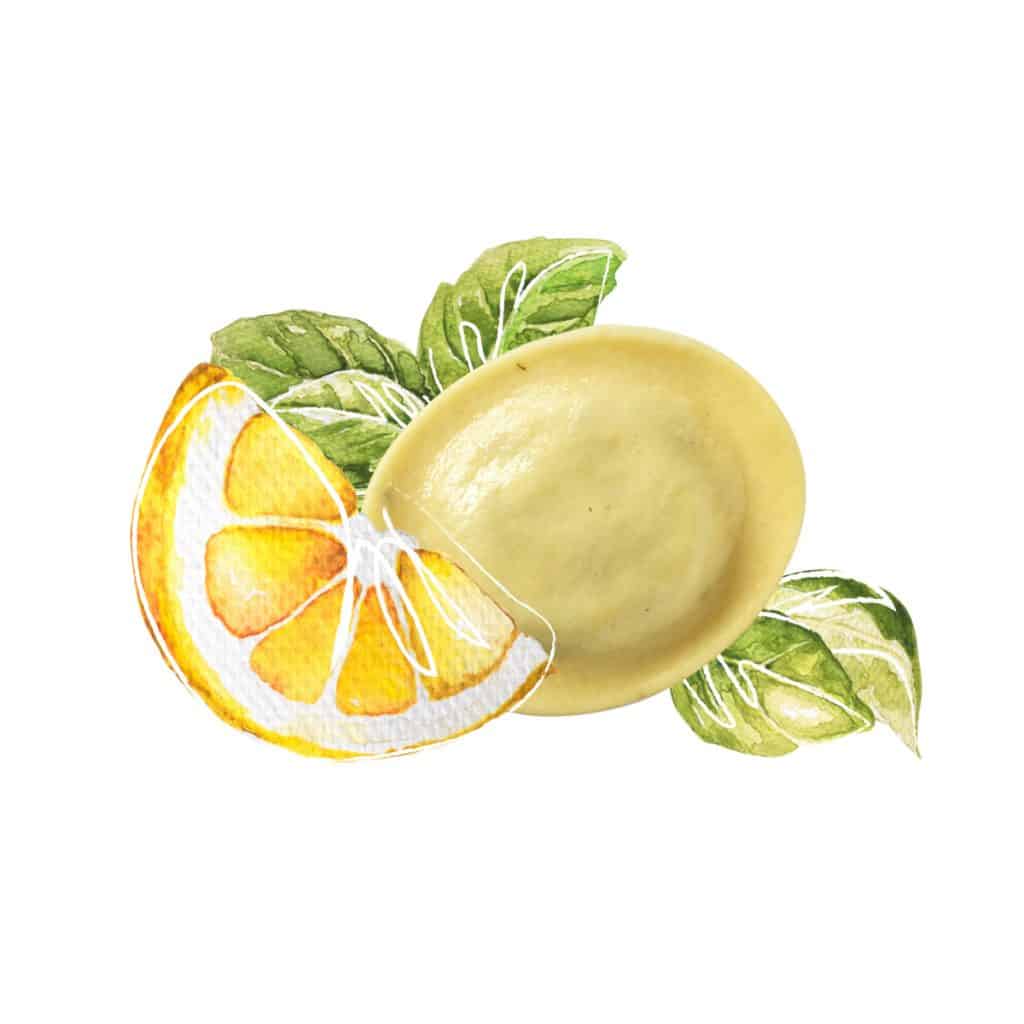 Hilcona Rondelli Limone Basilico
