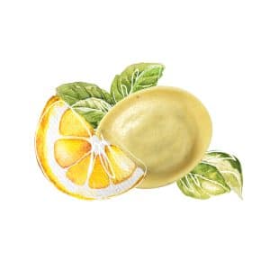 Hilcona Rondelli Limone Basilico